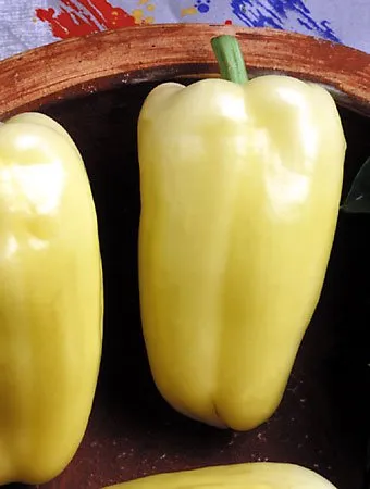 Альбатрос F1 / Albatross F1