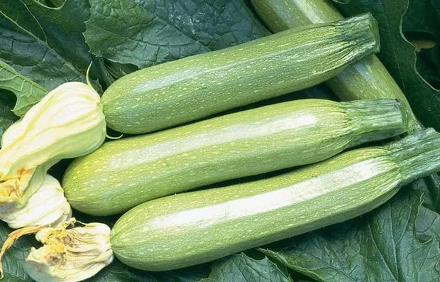 Арліка F1 / Arlika F1