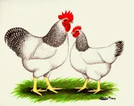 Фото Делавер