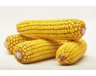 Фото Дніпровський 181 СВ