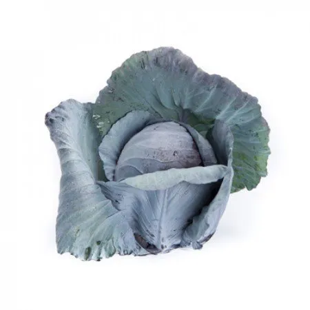 Редма РЦ F1 / Redma RZ F1