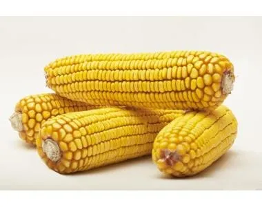 Дніпровський 181 СВ