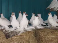 Фото Уральський монах