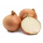 Фото Дайтона F1 / Daytona F1