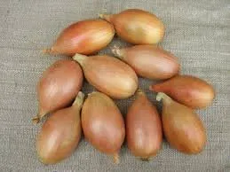 Еліста / Elista