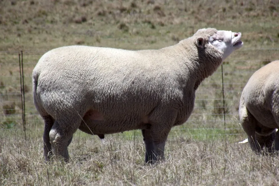 Іль де Франс (Ile de France)