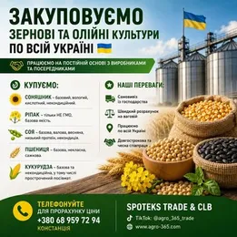 Купуємо зернові, олійні, бобові. База, некондиція