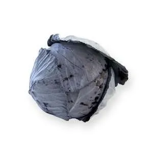 Родима РЦ F1 / Rodima RZ F1