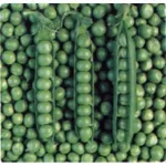 Фото Трістар / Tristar