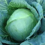 Фото Інвенто F1