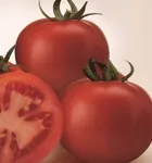 Фото Супер сет F1