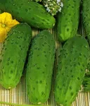 Фото Олеся F1