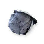 Фото Родима РЦ F1 / Rodima RZ F1