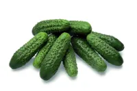 Фото Престо РЦ F1 / Presto RZ F1